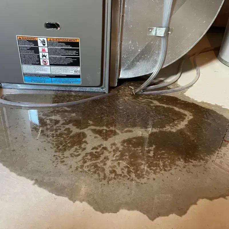 Appliance Leak Cleanup in Puerto Real, PR